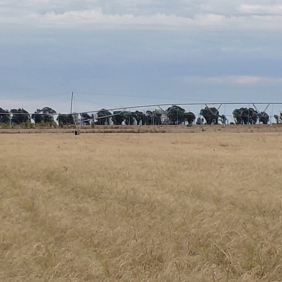 Commercial Property for Sale in Bloemfontein Rural Free State